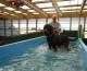 Dougal Swimming