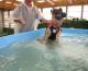 Diezel German Shepherd playing silly pup at dog swim spa