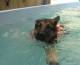 Zara Blackwood learning to swim 