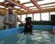 Maverick the rottweiler checking out swimming at dog swim spa