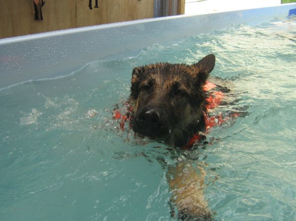Zara Blackwood learning to swim 
©June Blackwood